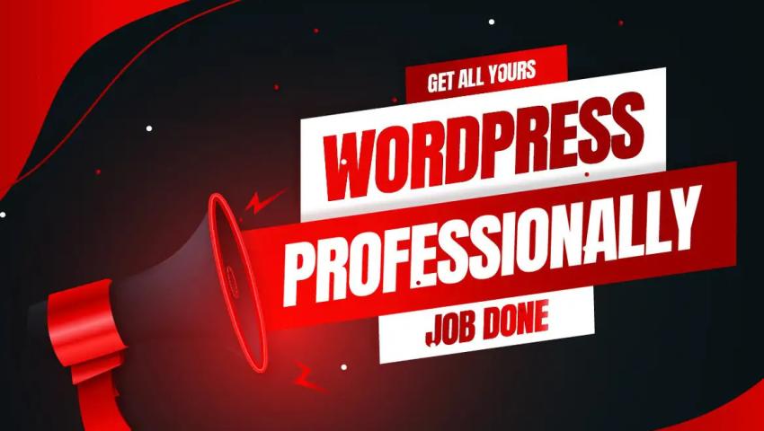 Affordable Website Development for Businesses
